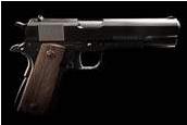 Cabot Guns 45 ACP (45 Auto) pistol reference thumbnail image