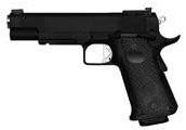 Dan Wesson Firearms 10mm Auto pistol reference thumbnail image