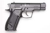 Fort 380 ACP (380 Auto) pistol reference thumbnail image