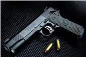 NightHawk Custom 45 ACP (45 Auto) reference thumbnail image