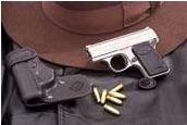 Precision Small Arms 25 ACP (25 Auto) reference thumbnail image
