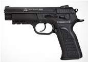 Rock Island Armory 9mm Luger (9x19mm Parabellum) pistol reference thumbnail image