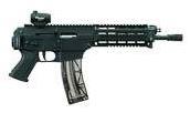 Sig Sauer 22 Long Rifle reference thumbnail image