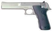 Smith & Wesson 22 Long Rifle reference thumbnail image