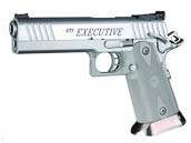 STI International 40 Smith & Wesson (40 Auto) pistol reference thumbnail image