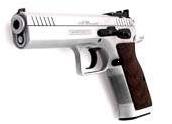 Tanfoglio Stock II 45 ACP (45 Auto) reference thumbnail image